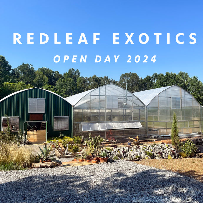 OPEN DAY 10/26/24